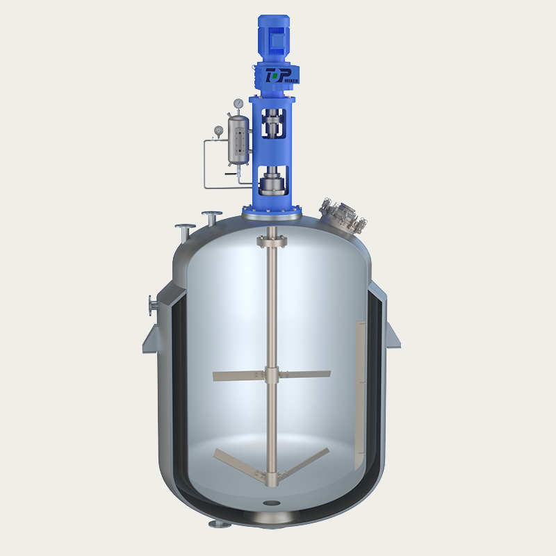 TOPA001DR Top-Entry Mixer