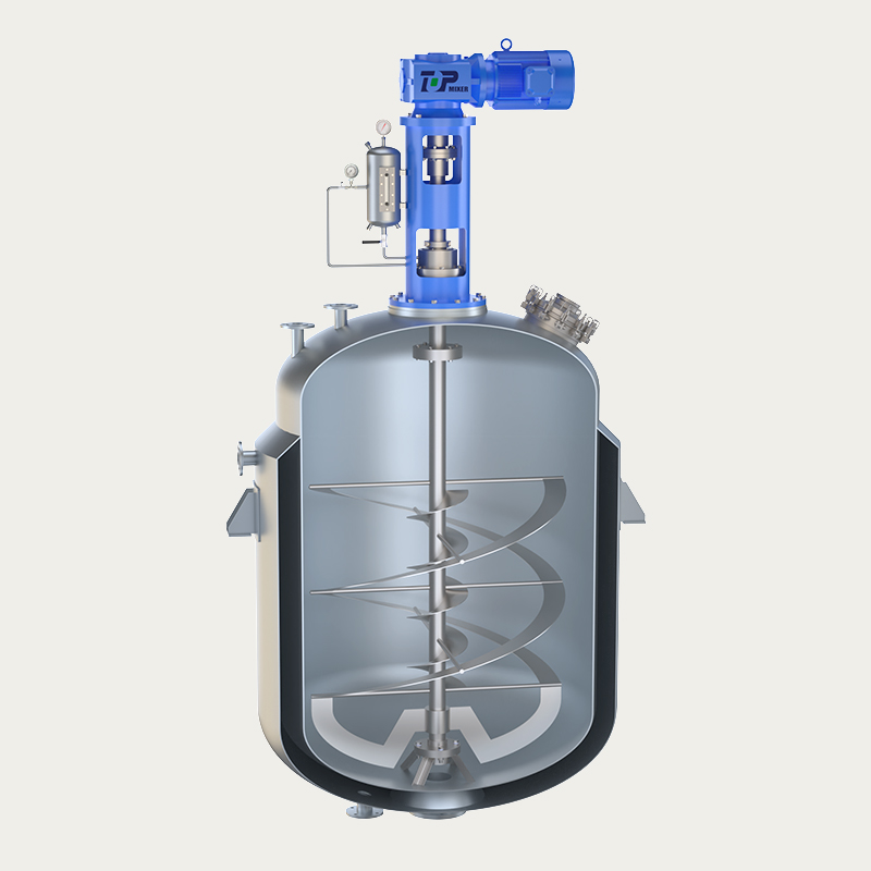 TOPA003 Ribbon Top-Entry Mixer