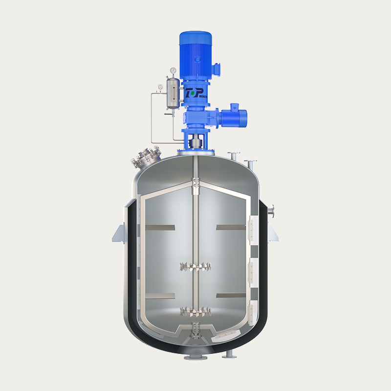 TOPA007 TX1 Series Concentric Double Speed Top-Entry Mixer