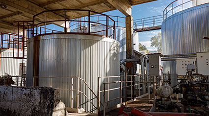 Anaerobic Fermentation